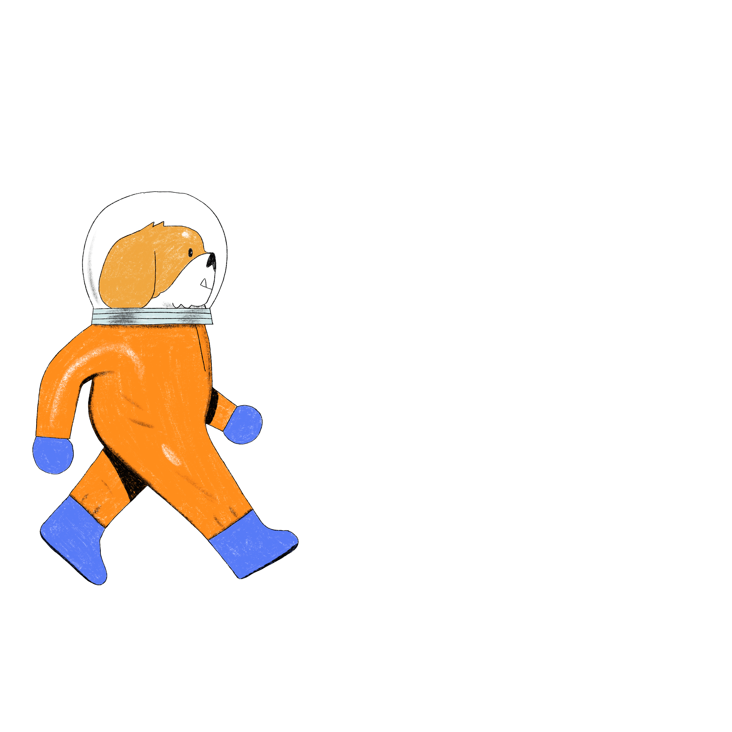 Space Puppy